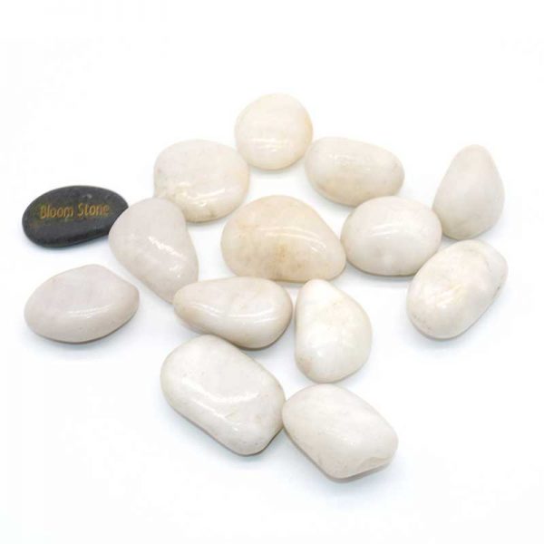 white-high-polished-pebbles