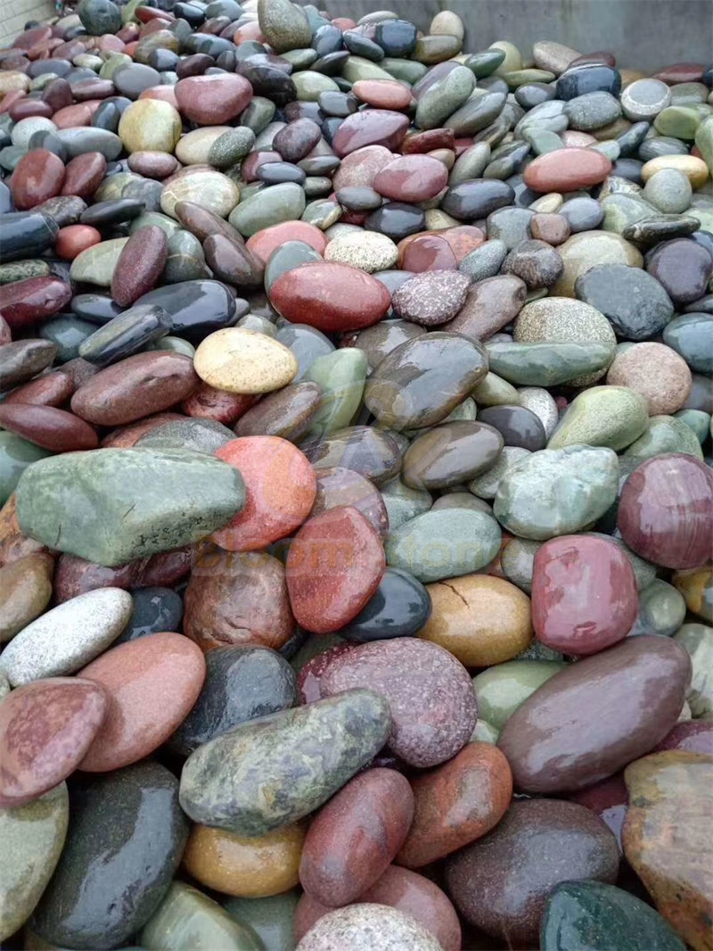 Mixed River Stone