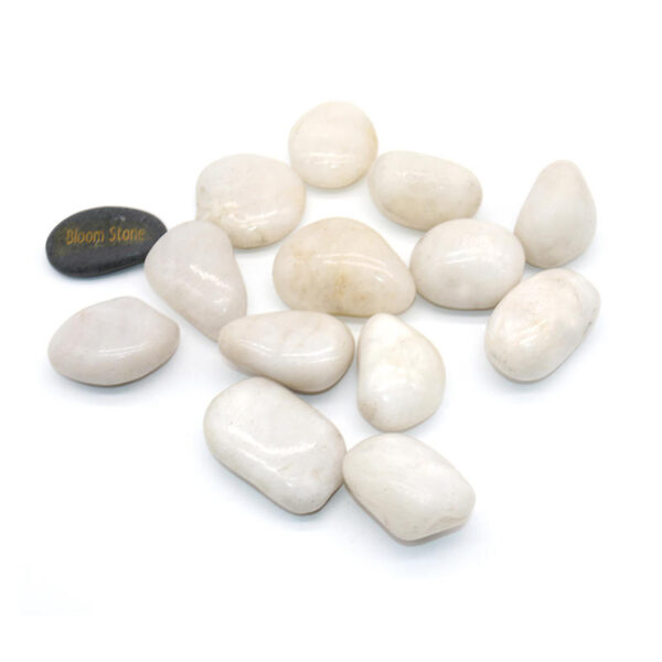 Premium White Polished Pebbles – High-Quality Decorative Stones for Landscaping