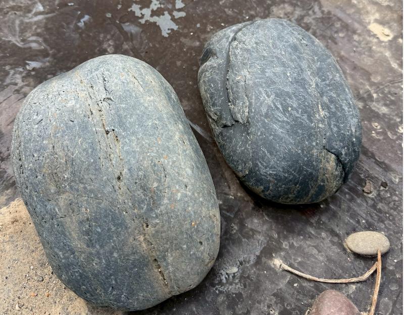 Amazing Rare Large River Pebbles (15-25cm) | Natural Grey to Black Stones