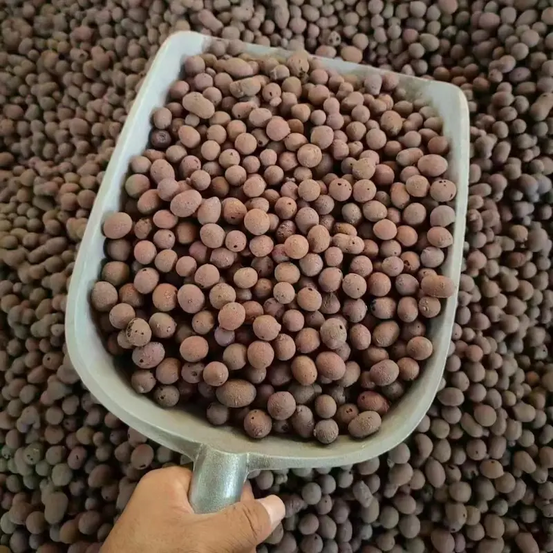 Wholesale Clay Pebbles: Bulk LECA for Hydroponics & Mixed Loading